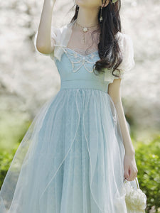 2PS Baby Blue Embroidered Butterfly Vintage Dress With Puff Sleeve Cardigan Suit