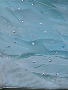 Feather Crystal Rhinestone Corset Top