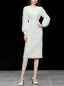 White Crew Collar Long Sleeve Lace Party 1960S Dress