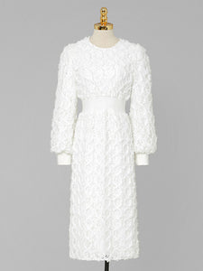 White Crew Collar Long Sleeve Lace Party 1960S Dress