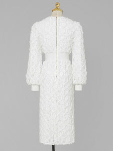 White Crew Collar Long Sleeve Lace Party 1960S Dress