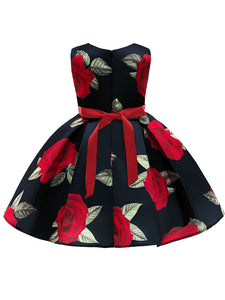 Kids Little Girls' Dress Princess Rose Sleeveless Birthday Christening Dress