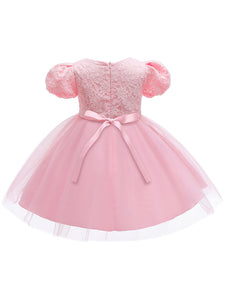 Kids Little Girls' Dress Princess LaceBirthday Christening Dress