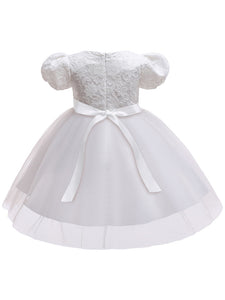 Kids Little Girls' Dress Princess LaceBirthday Christening Dress