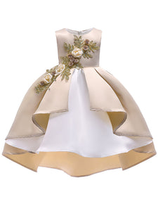 Kids Little Girls' Dress Princess High Low Birthday Christening Dress