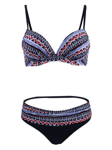 Retro Style Sexy Floral Two Pieces Trigonal Bikini Sets
