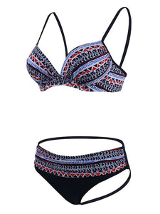 Retro Style Sexy Floral Two Pieces Trigonal Bikini Sets