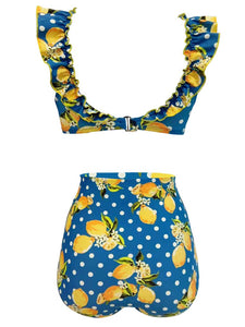 Floral Retro Style Slide Pleated Two Pieces Bikini Sets
